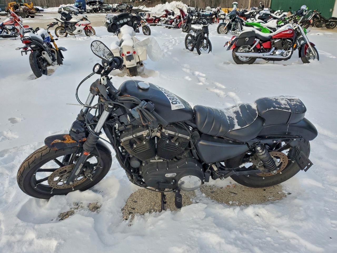 Harley-Davidson Xl883 N N Image 8