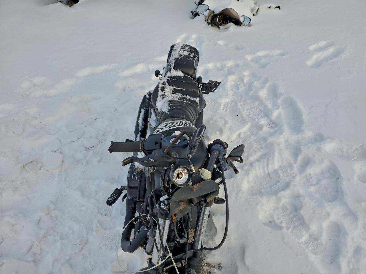 Harley-Davidson Xl883 N N Image 6