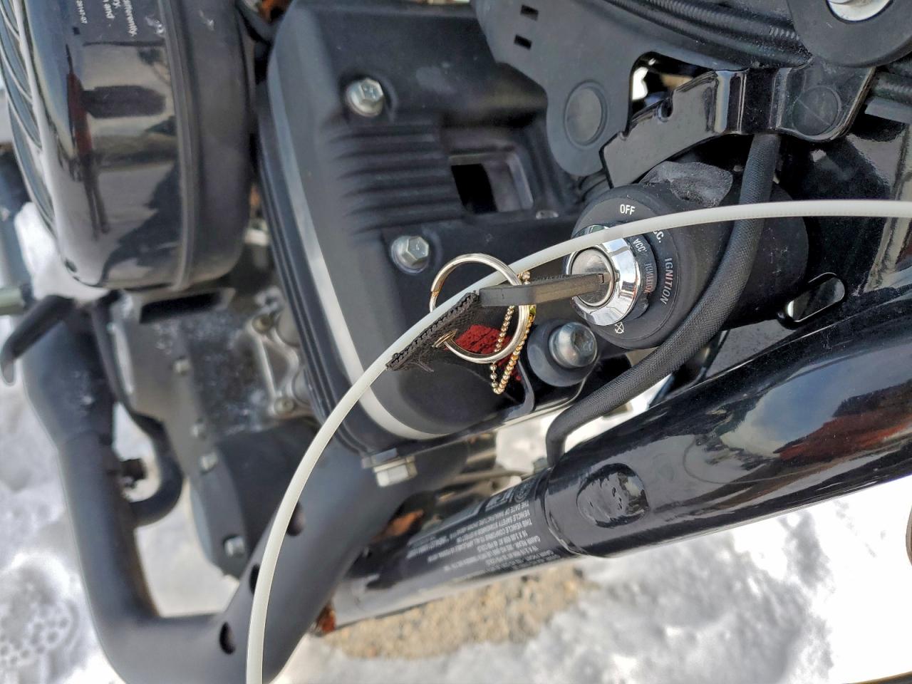 Harley-Davidson Xl883 N N Image 5