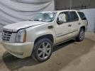 Cadillac Escalade Luxury Image 1