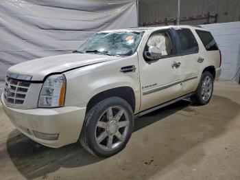  Salvage Cadillac Escalade